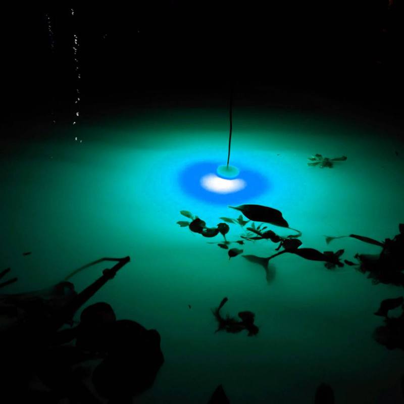 Mini Angeln Attraktion Lampe L – Fishing Boat Navigation Light Bewertung und Preis