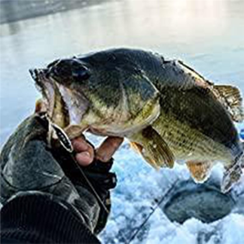 ABUE-Kayak Tragbarer Fisch-Tie – Fishing Boat Depth Finder Bewertung und Preis